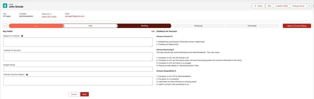 Lead qualification screenshot example from  Salesforce